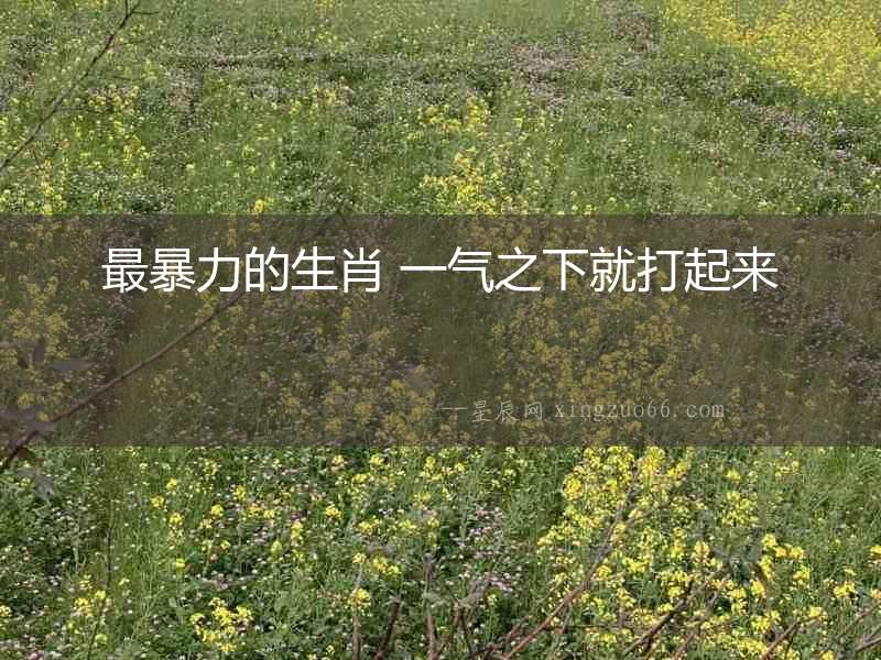 最暴力的生肖 一氣之下就打起來