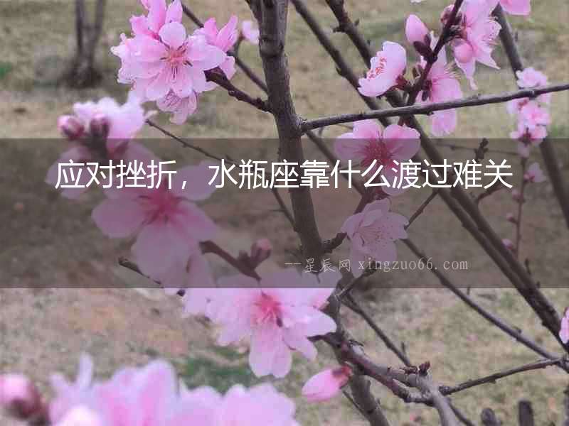 應(yīng)對(duì)挫折，水瓶座靠什么渡過難關(guān)