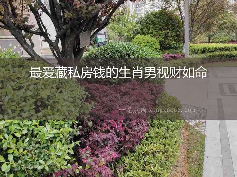 最愛藏私房錢的生肖男視財如命