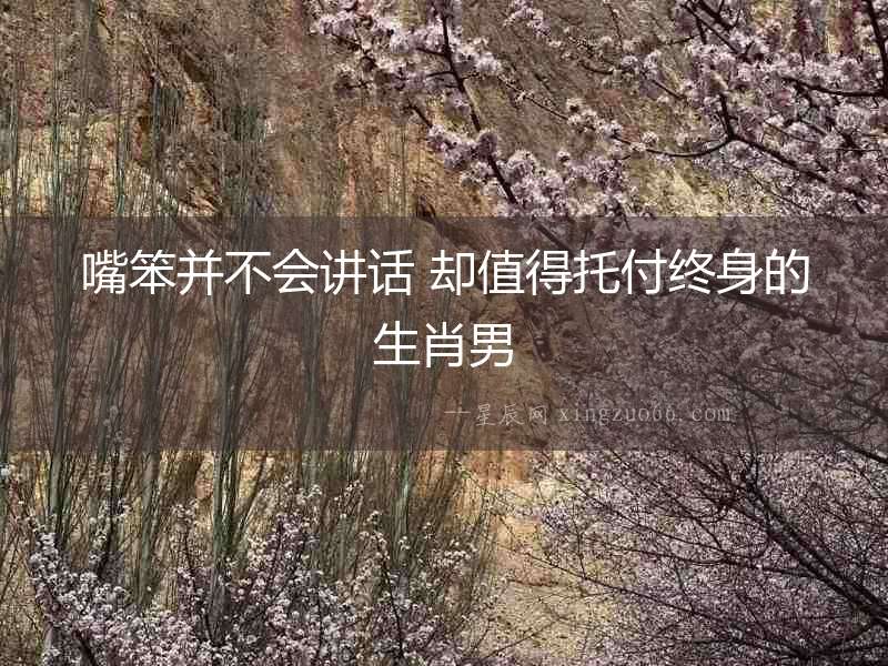 嘴笨并不會講話 卻值得托付終身的生肖男