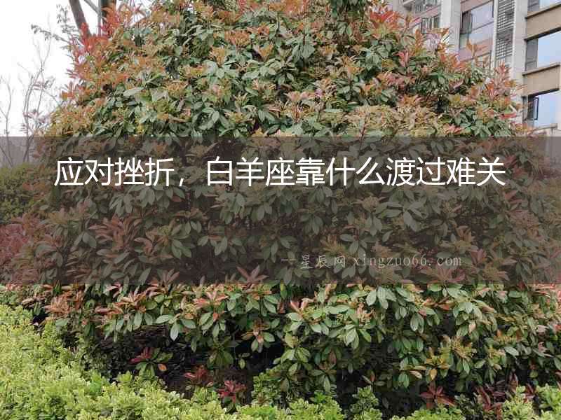 應對挫折，白羊座靠什么渡過難關