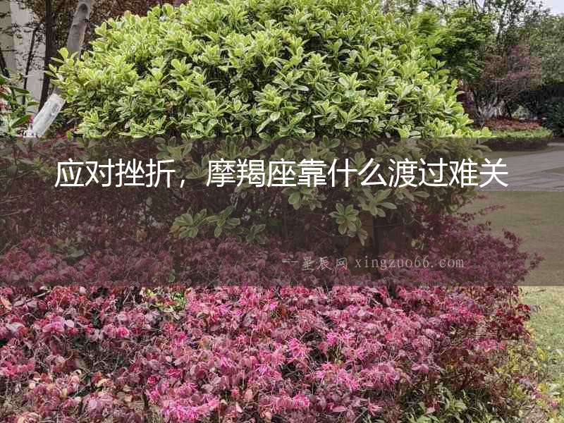 應對挫折，摩羯座靠什么渡過難關