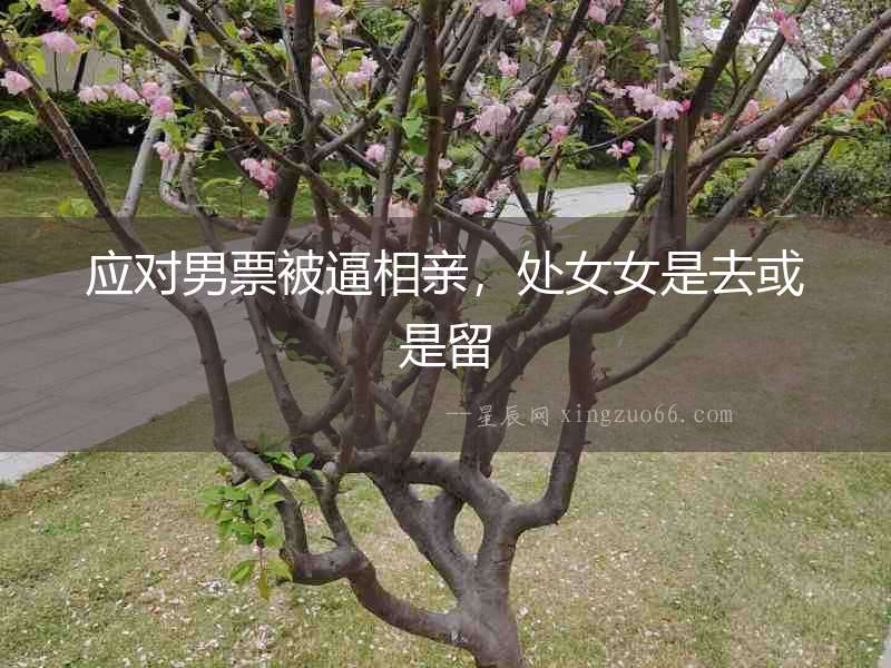 應對男票被逼相親，處女女是去或是留