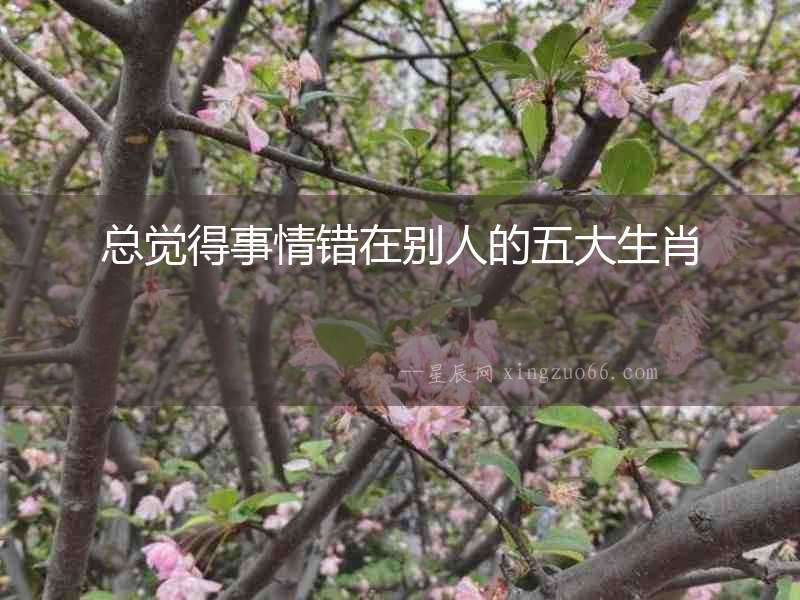 總覺(jué)得事情錯(cuò)在別人的五大生肖