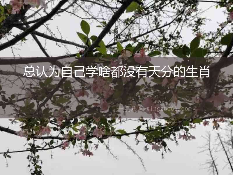 總認為自己學啥都沒有天分的生肖