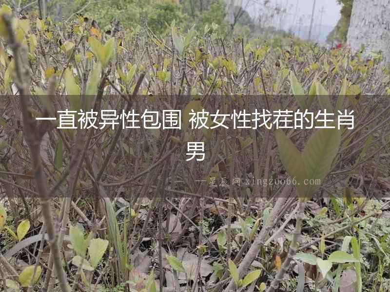 一直被異性包圍 被女性找茬的生肖男