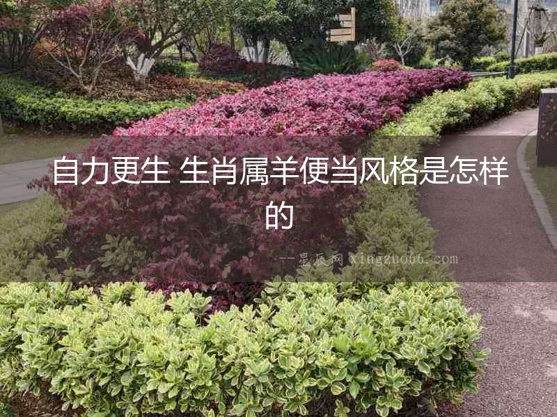 自力更生 生肖屬羊便當(dāng)風(fēng)格是怎樣的