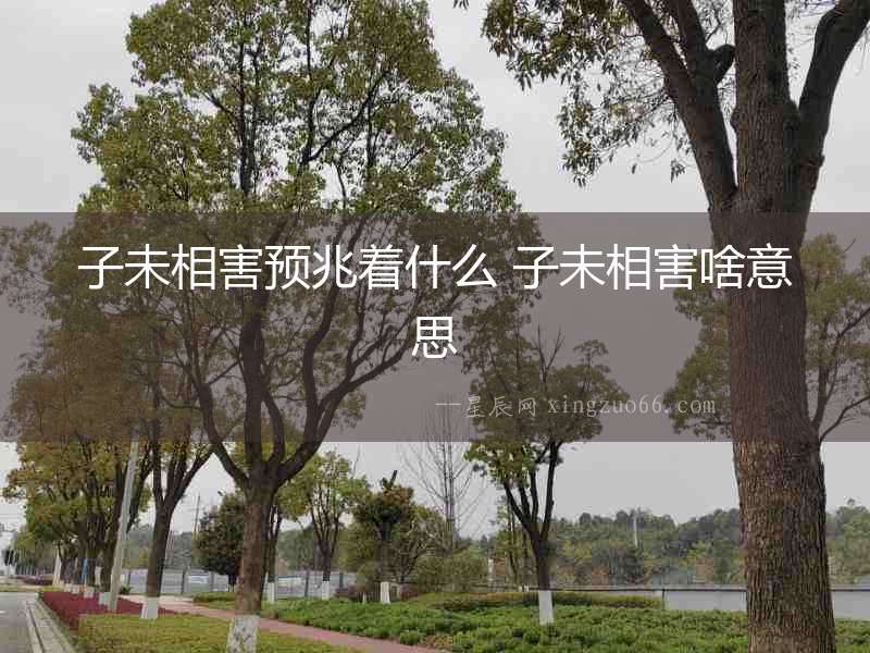 子未相害預(yù)兆著什么 子未相害啥意思