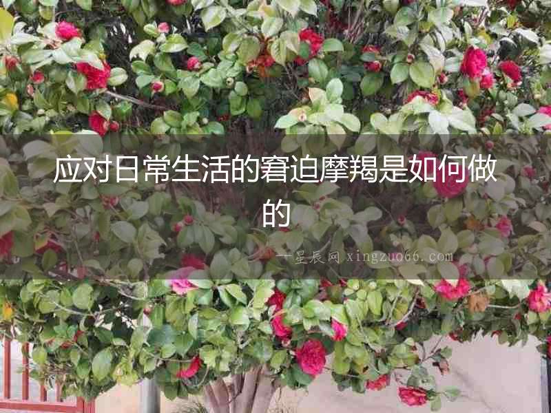 應(yīng)對日常生活的窘迫摩羯是如何做的