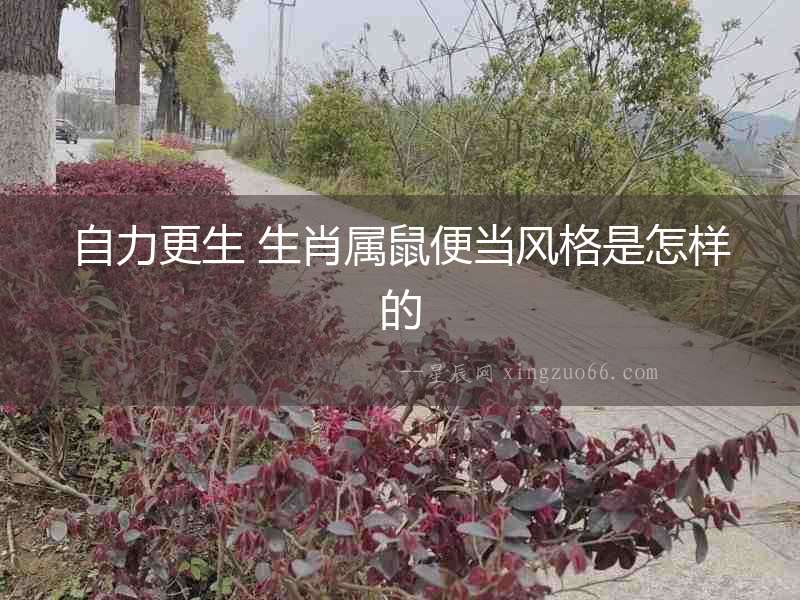 自力更生 生肖屬鼠便當風格是怎樣的