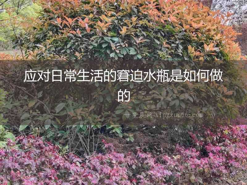 應(yīng)對日常生活的窘迫水瓶是如何做的