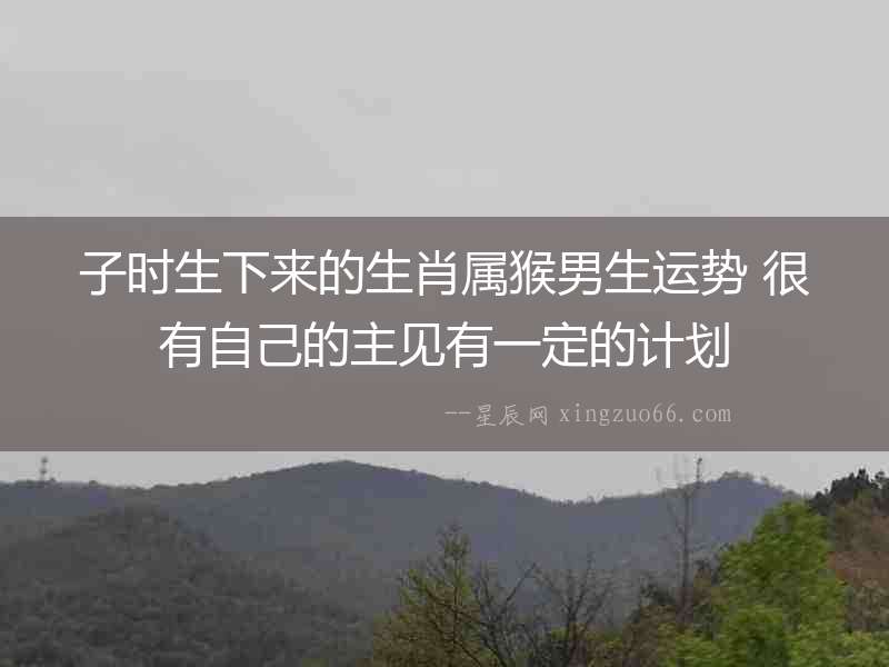 子時(shí)生下來(lái)的生肖屬猴男生運(yùn)勢(shì) 很有自己的主見(jiàn)有一定的計(jì)劃