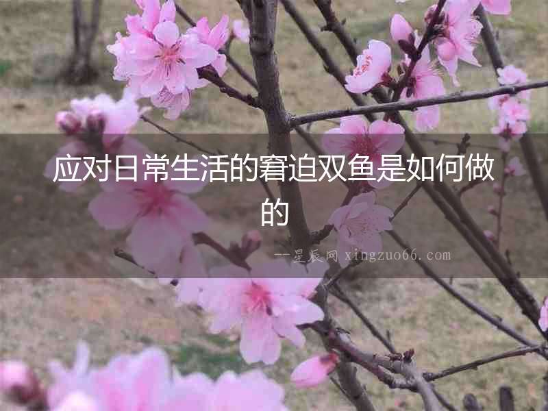 應(yīng)對日常生活的窘迫雙魚是如何做的