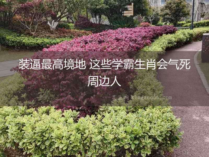 裝逼最高境地 這些學霸生肖會氣死周邊人