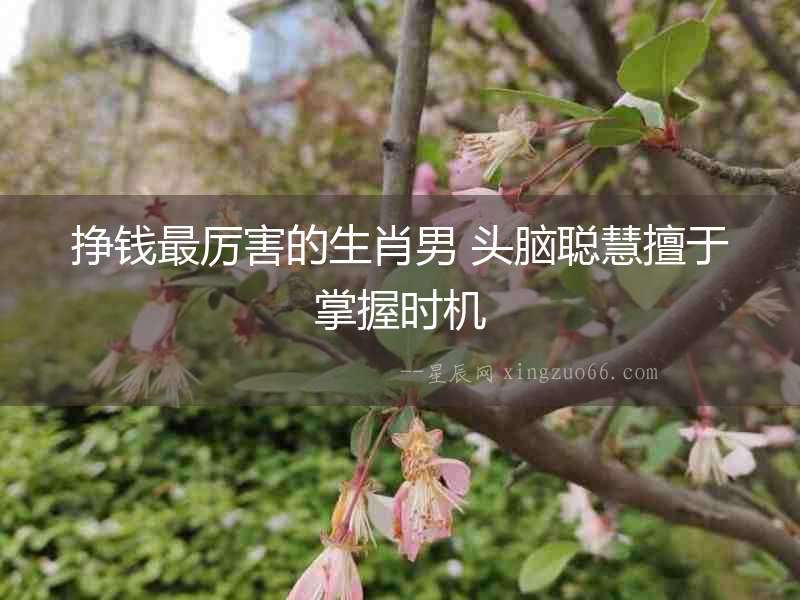 掙錢最厲害的生肖男 頭腦聰慧擅于掌握時機