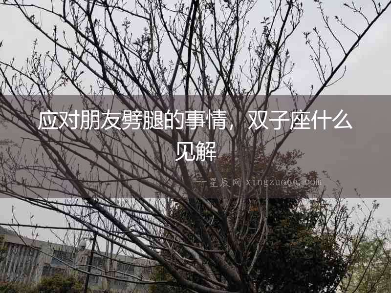 應對朋友劈腿的事情，雙子座什么見解