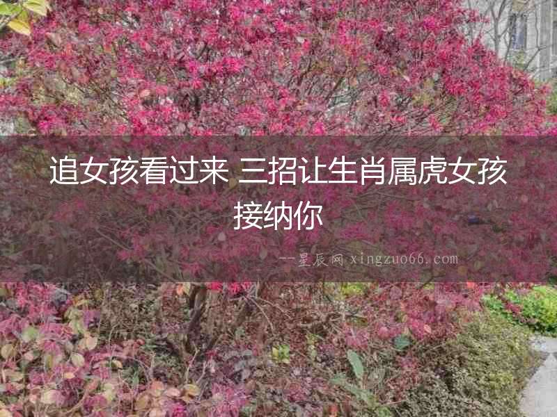 追女孩看過來 三招讓生肖屬虎女孩接納你