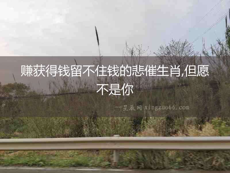 賺獲得錢留不住錢的悲催生肖,但愿不是你
