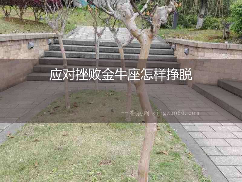 應(yīng)對(duì)挫敗金牛座怎樣掙脫