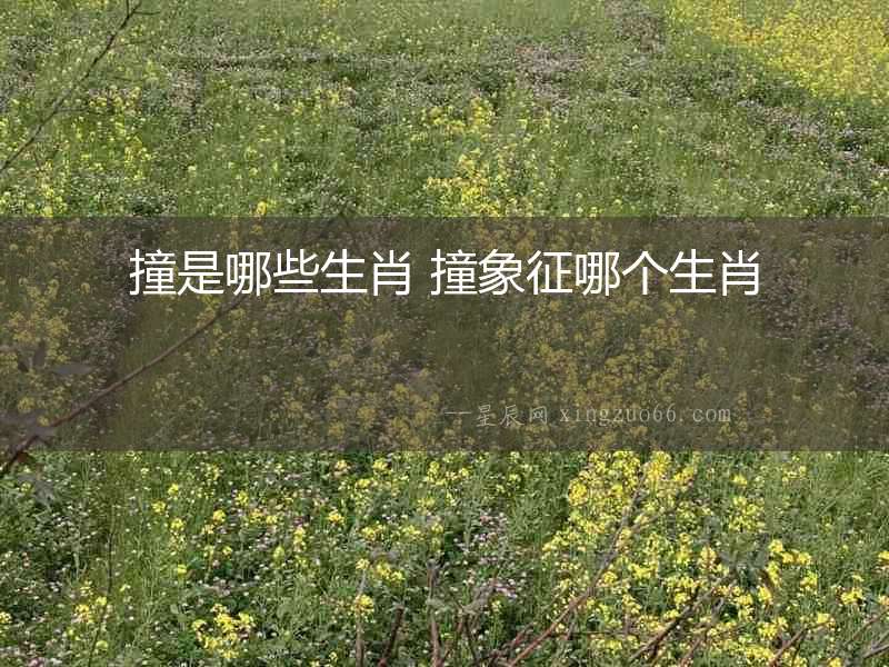 撞是哪些生肖 撞象征哪個生肖