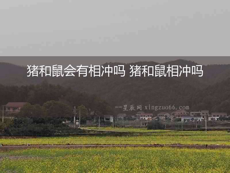 豬和鼠會有相沖嗎 豬和鼠相沖嗎