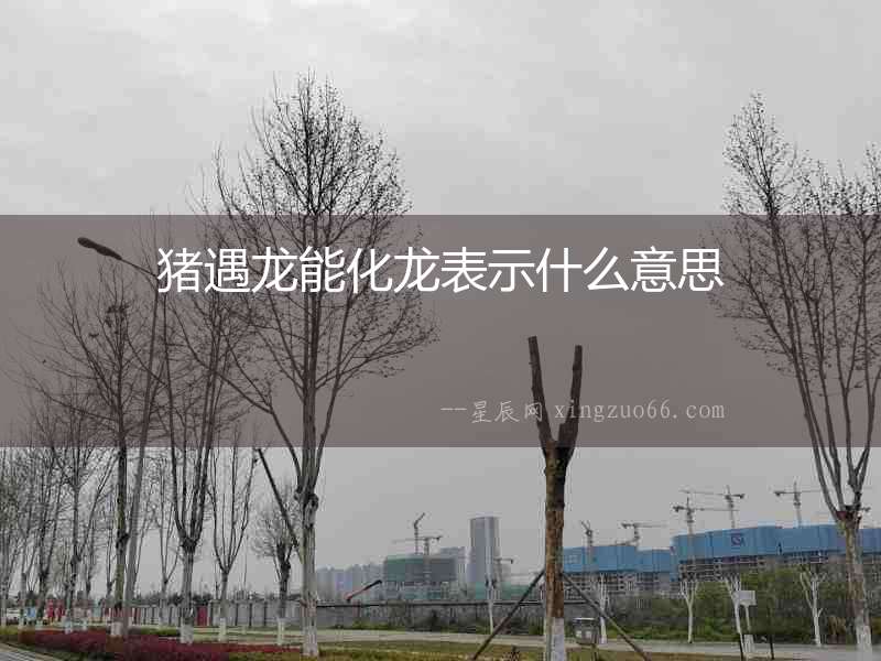 豬遇龍能化龍表示什么意思