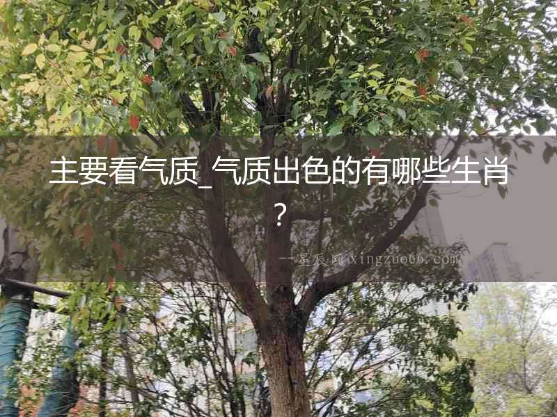 主要看氣質_氣質出色的有哪些生肖？
