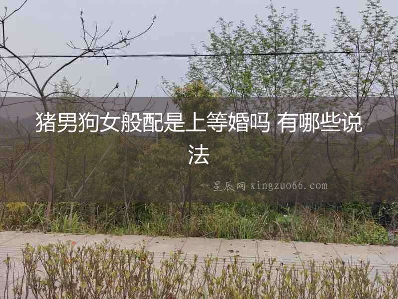 豬男狗女般配是上等婚嗎 有哪些說法