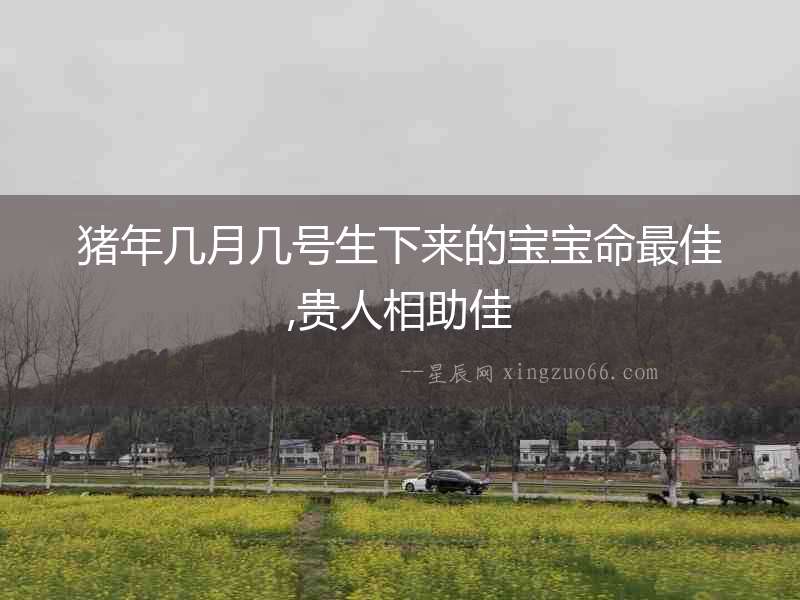 豬年幾月幾號生下來的寶寶命最佳,貴人相助佳