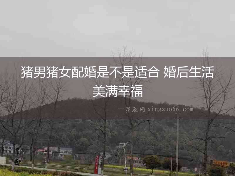 豬男豬女配婚是不是適合 婚后生活美滿幸福