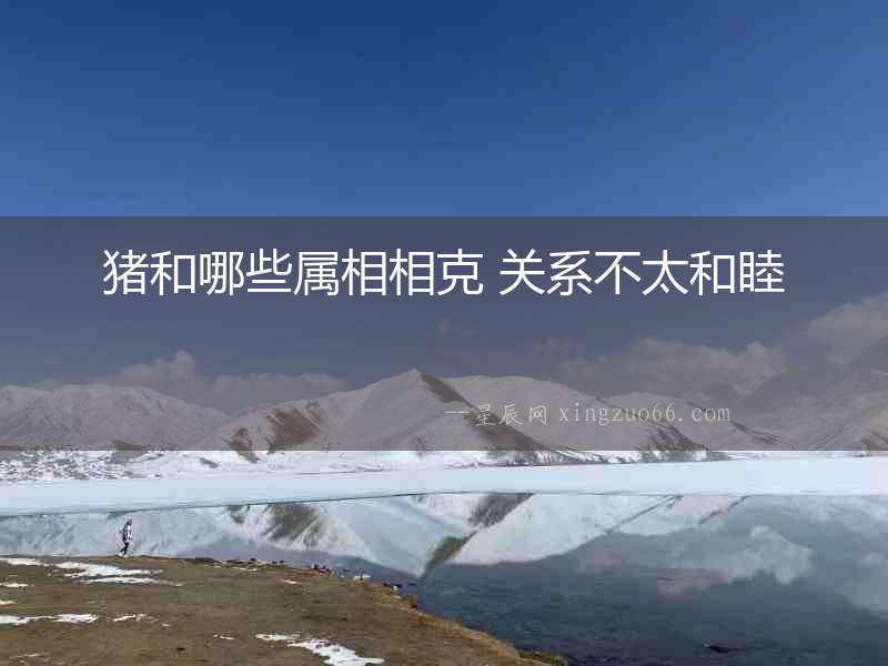 豬和哪些屬相相克 關系不太和睦