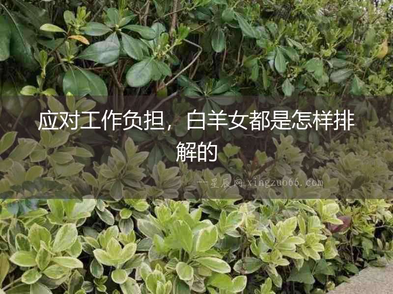 應對工作負擔，白羊女都是怎樣排解的