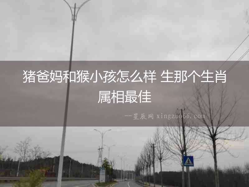 豬爸媽和猴小孩怎么樣 生那個生肖屬相最佳