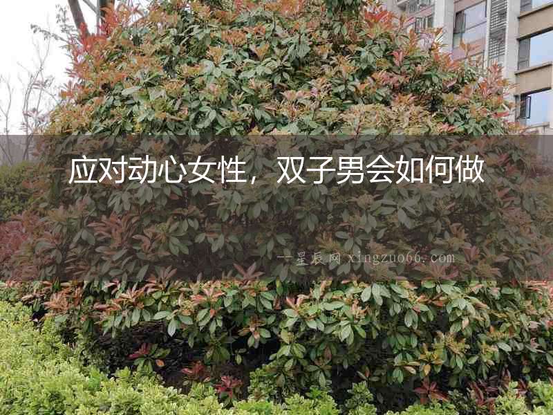 應對動心女性，雙子男會如何做