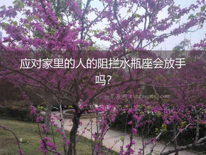 應對家里的人的阻攔水瓶座會放手嗎？