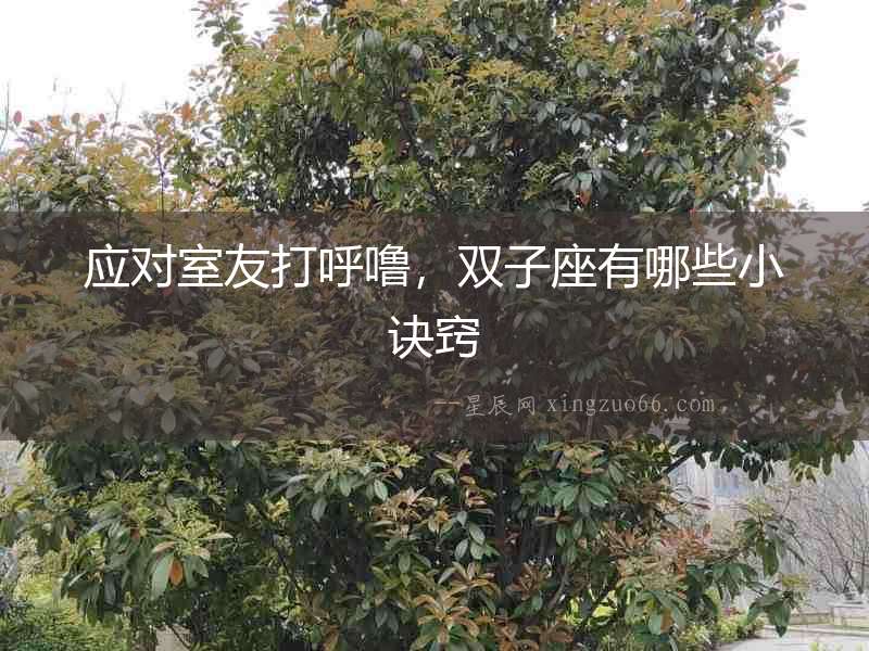 應對室友打呼嚕，雙子座有哪些小訣竅