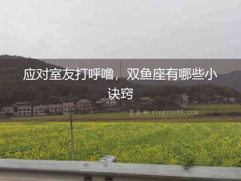 應(yīng)對(duì)室友打呼嚕，雙魚座有哪些小訣竅