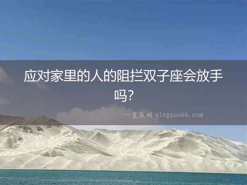 應(yīng)對(duì)家里的人的阻攔雙子座會(huì)放手嗎？