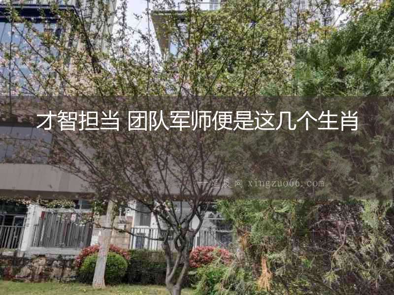 才智擔(dān)當(dāng) 團(tuán)隊軍師便是這幾個生肖