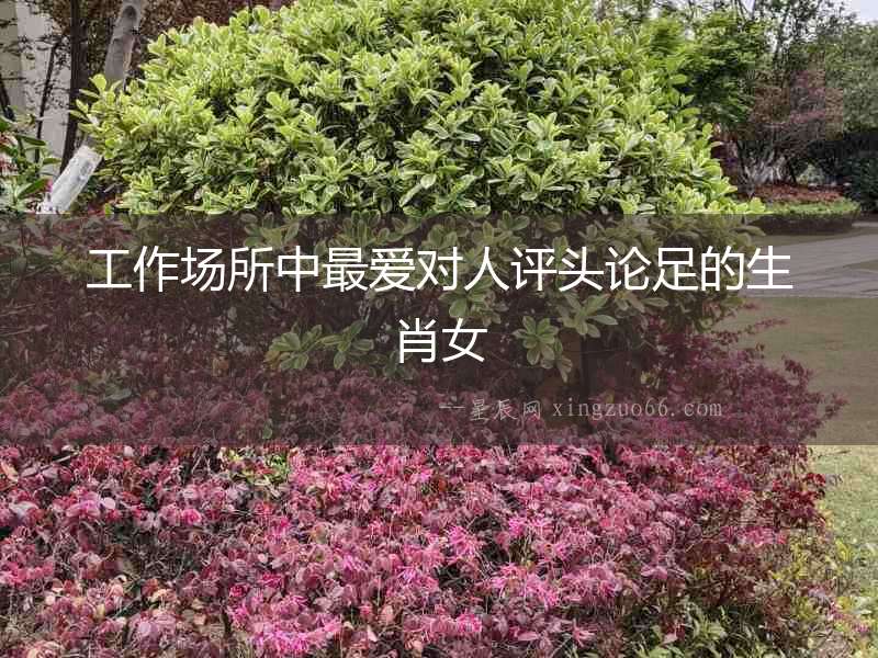 工作場(chǎng)所中最愛對(duì)人評(píng)頭論足的生肖女
