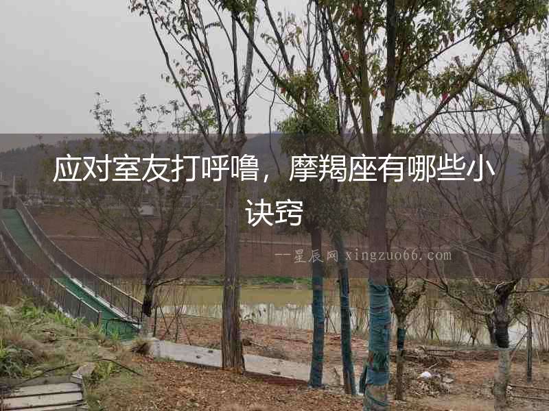 應(yīng)對(duì)室友打呼嚕，摩羯座有哪些小訣竅