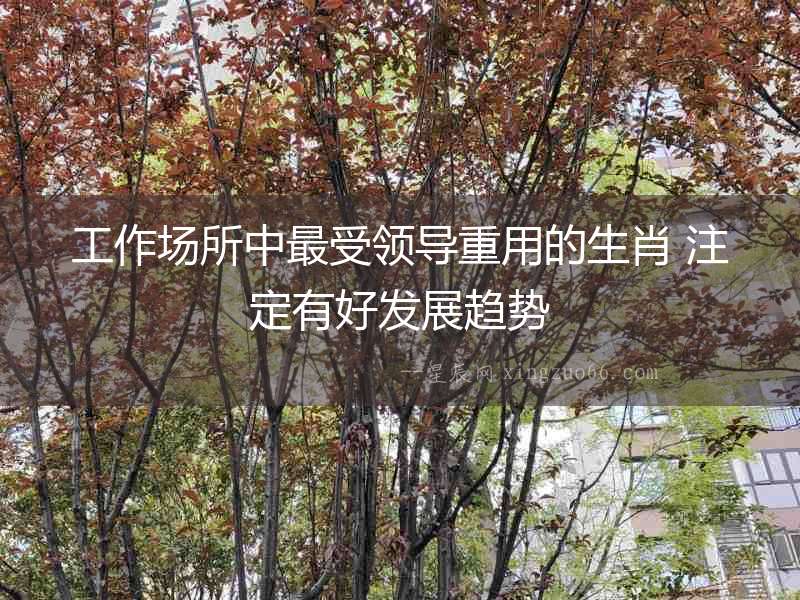 工作場所中最受領導重用的生肖 注定有好發展趨勢