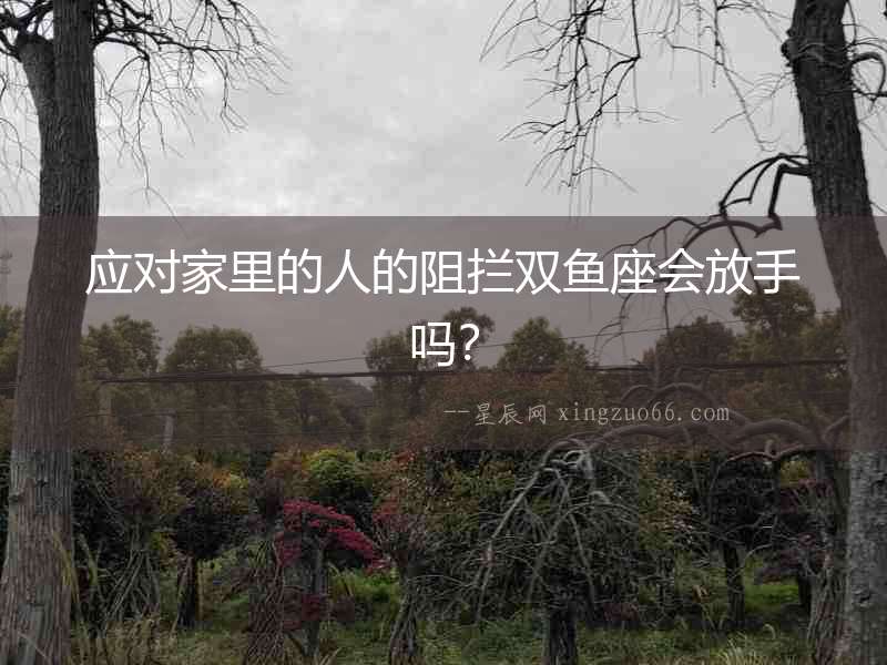 應對家里的人的阻攔雙魚座會放手嗎？