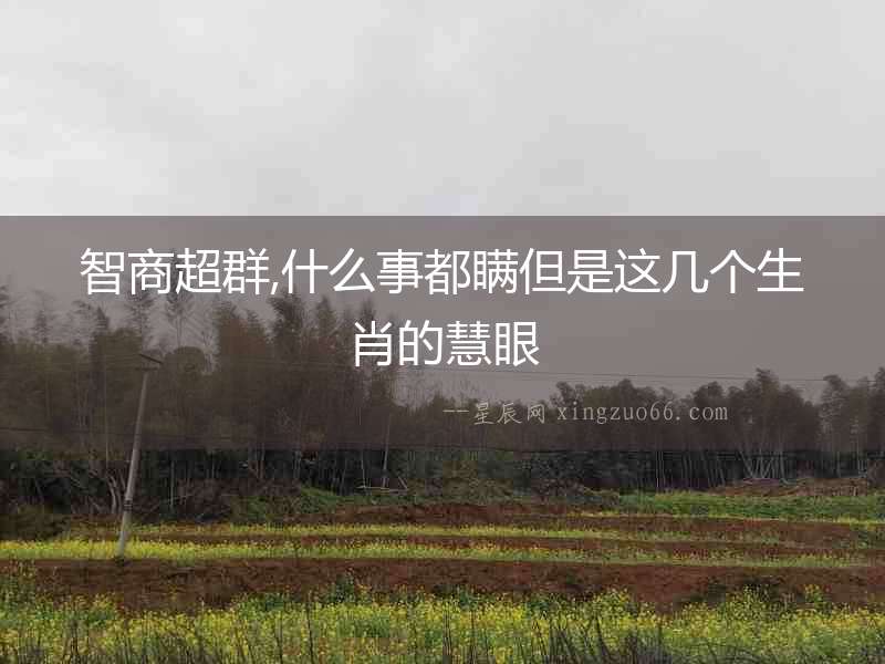 智商超群,什么事都瞞但是這幾個生肖的慧眼
