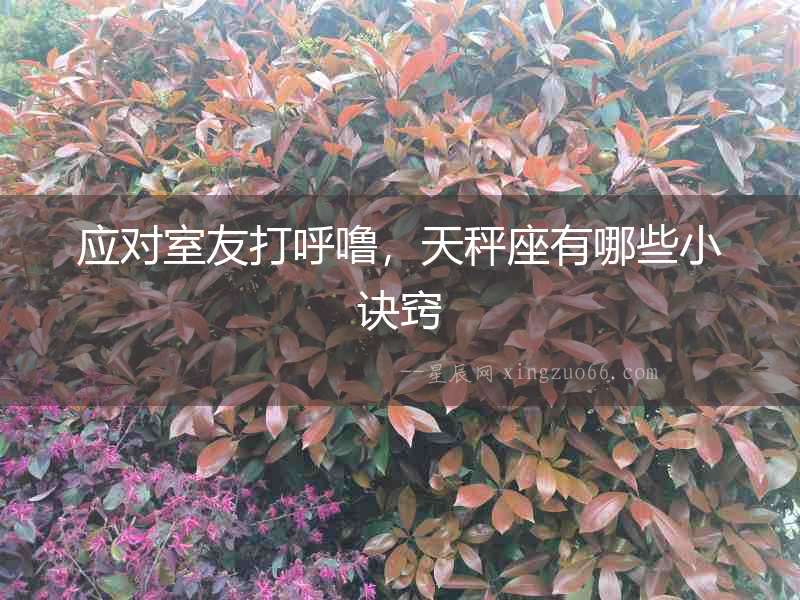 應對室友打呼嚕，天秤座有哪些小訣竅