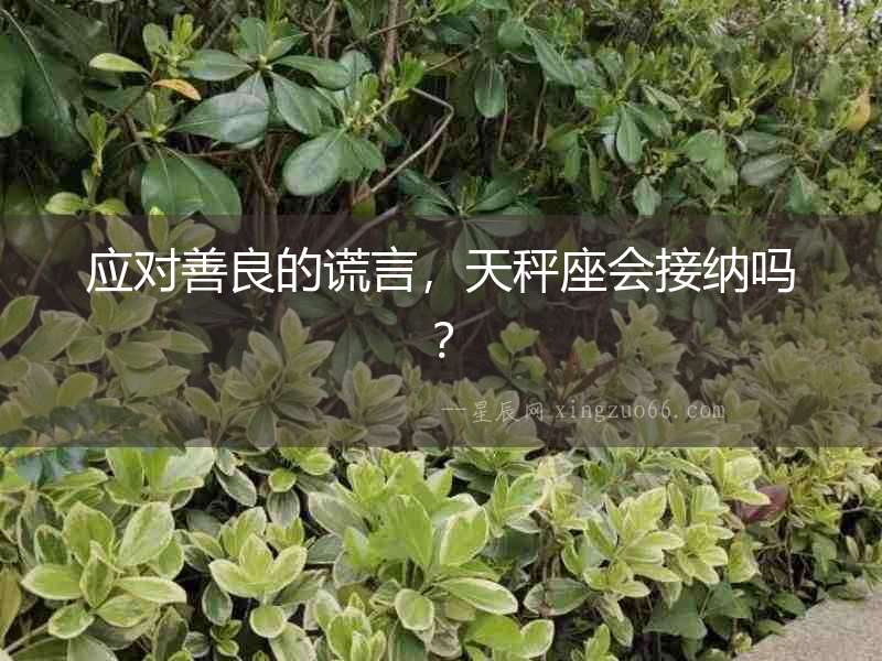 應對善良的謊言，天秤座會接納嗎？