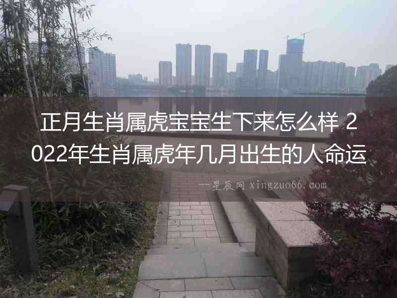 正月生肖屬虎寶寶生下來怎么樣 2022年生肖屬虎年幾月出生的人命運最好農(nóng)歷