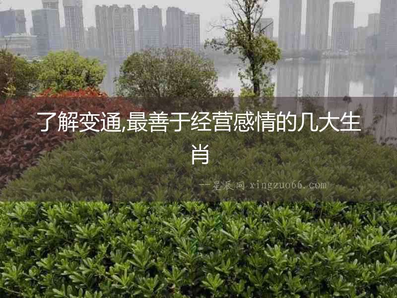 了解變通,最善于經營感情的幾大生肖