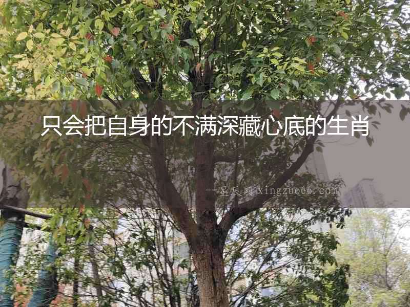 只會把自身的不滿深藏心底的生肖