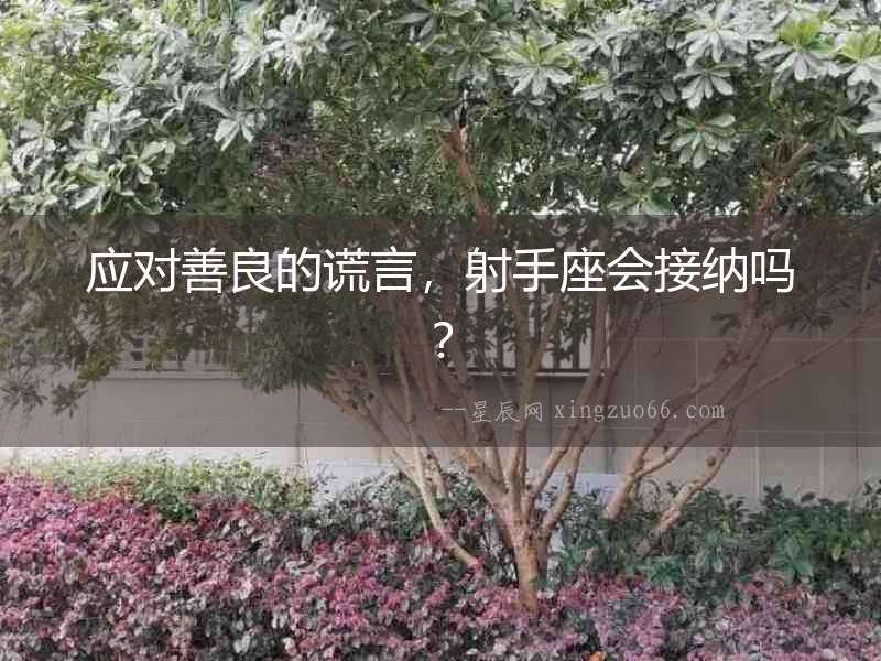 應(yīng)對善良的謊言，射手座會接納嗎？